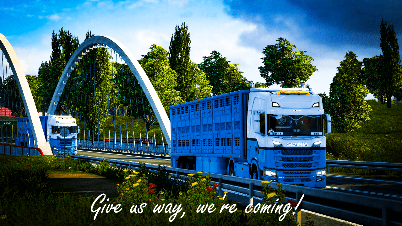 TurkishLine VTC Convoy 3